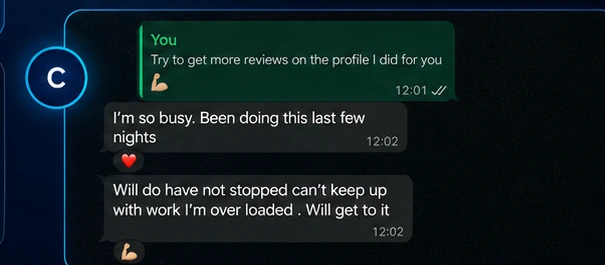 Styled preview of the client message saying he is busy and cannot keep up with the work
